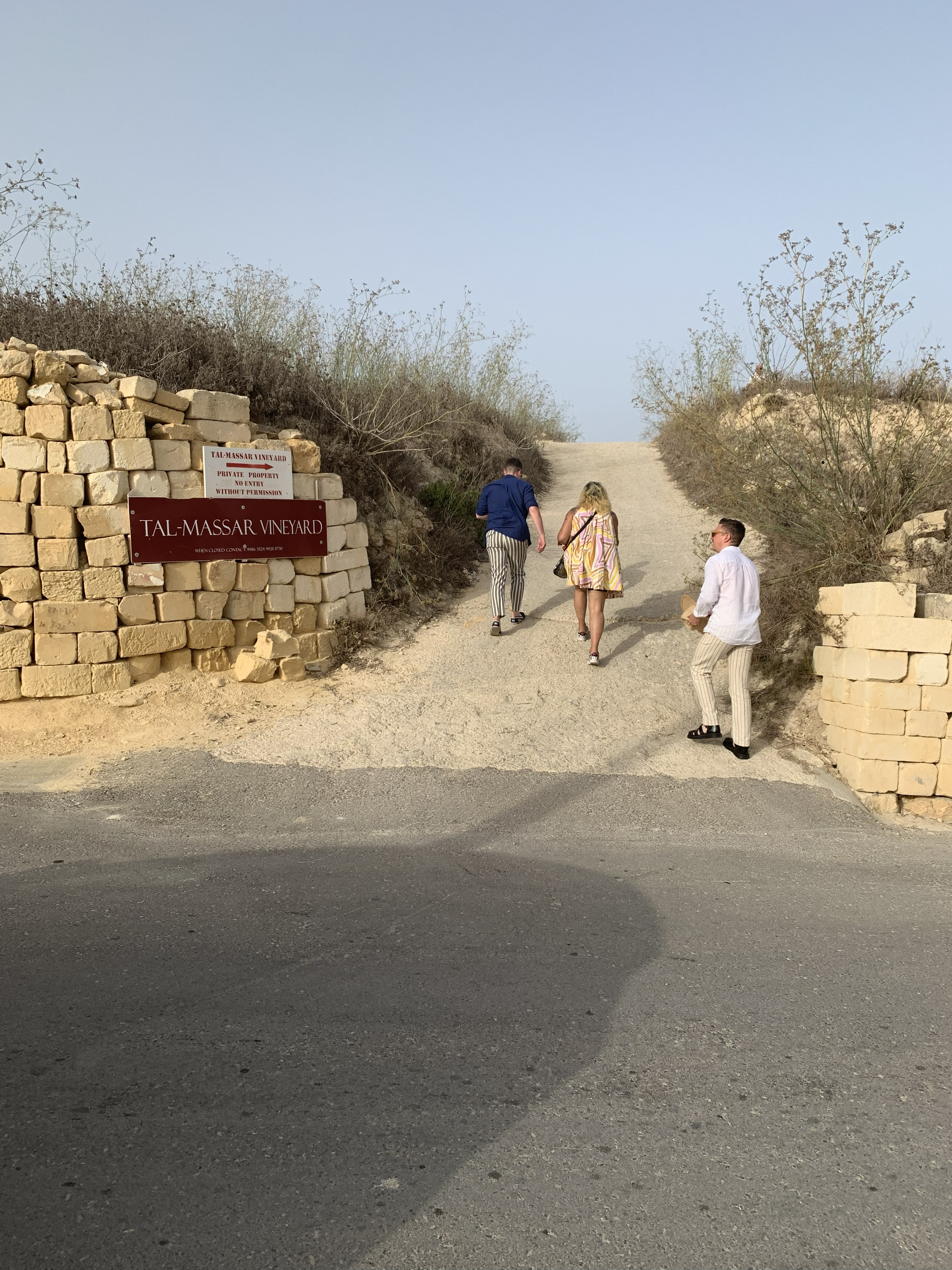Għarbacchus: An Evening at Tal-Massar Winery